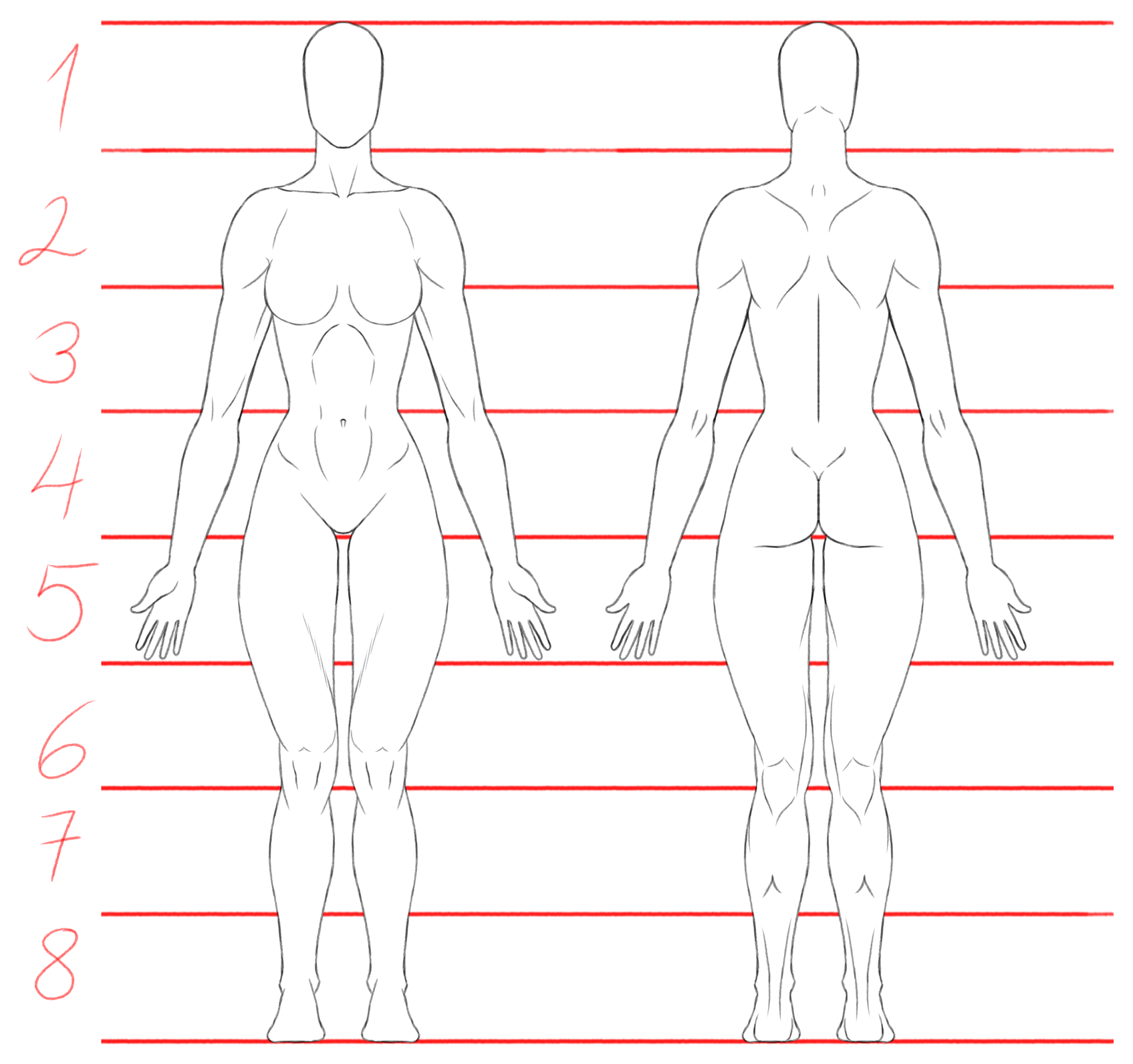 Proporciones corporales