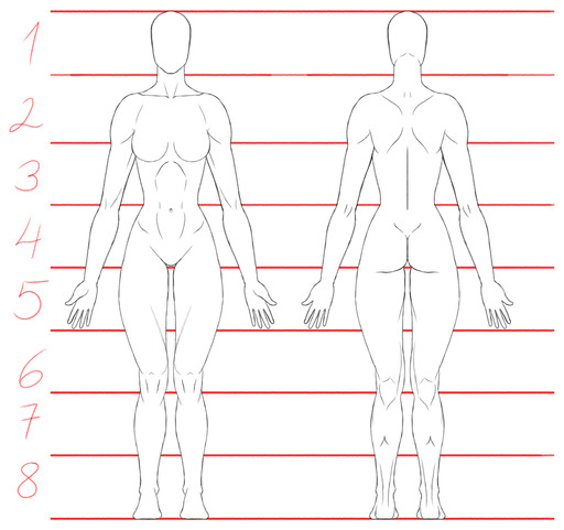 proporciones-corporales